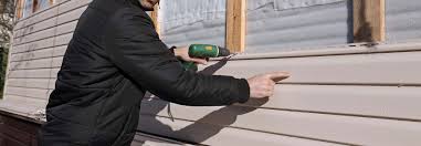 Best Siding Painting and Refinishing  in Bamberg, SC